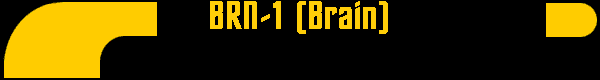  BRN-1 (Brain) 
