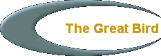 The Great Bird