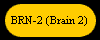  BRN-2 (Brain 2) 