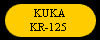  KUKA 
KR-125 